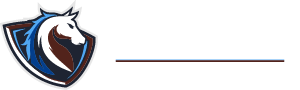 American High School Academy Logo (2023)